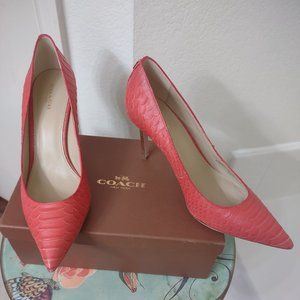 Coach Teddie Cut Snake Pump